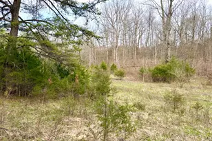 1600 Magee Jones Rd, Bratton Township, OH 45660 - Photo 71