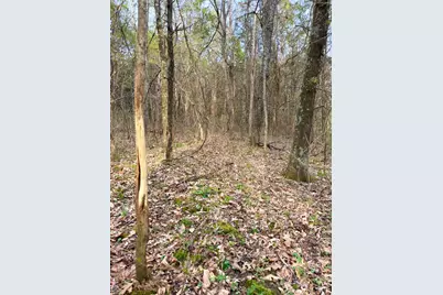 1600 Magee Jones Road, Bratton Township, OH 45660 - Photo 19