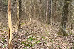 1600 Magee Jones Rd, Bratton Township, OH 45660 - Photo 19