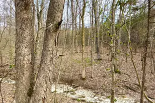 1600 Magee Jones Rd, Bratton Township, OH 45660 - Photo 53