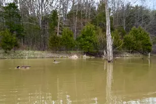 1600 Magee Jones Rd, Bratton Township, OH 45660 - Photo 85