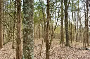 1600 Magee Jones Rd, Bratton Township, OH 45660 - Photo 63