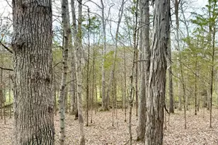 1600 Magee Jones Rd, Bratton Township, OH 45660 - Photo 59