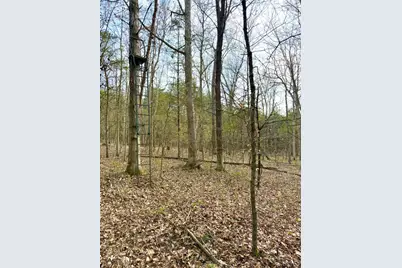 1600 Magee Jones Road, Bratton Township, OH 45660 - Photo 7