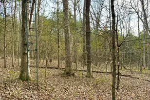 1600 Magee Jones Rd, Bratton Township, OH 45660 - Photo 7