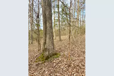 1600 Magee Jones Road, Bratton Township, OH 45660 - Photo 61