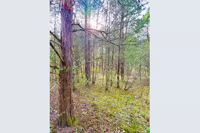 1600 Magee Jones Road, Bratton Township, OH 45660 - Photo 41