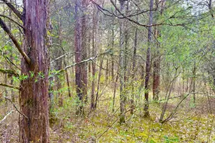 1600 Magee Jones Rd, Bratton Township, OH 45660 - Photo 41