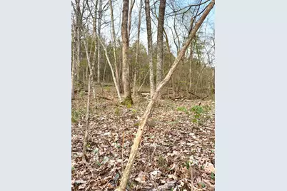 1600 Magee Jones Road, Bratton Township, OH 45660 - Photo 51