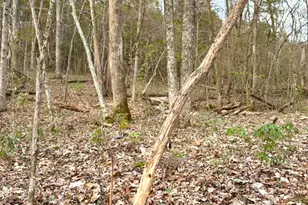 1600 Magee Jones Rd, Bratton Township, OH 45660 - Photo 51