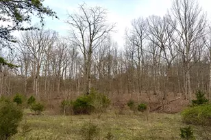 1600 Magee Jones Rd, Bratton Township, OH 45660 - Photo 21