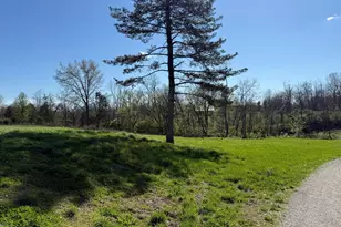 3363 St Rt 774, Franklin Township, OH 45106 - Photo 7