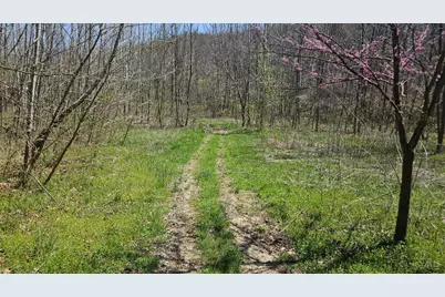 0 Spruce Hollow Road, Madison Township, OH 45653 - Photo 7