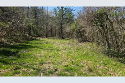 0 Spruce Hollow Road, Madison Township, OH 45653 - Photo 11