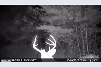 0 Spruce Hollow Road, Madison Township, OH 45653 - Photo 37