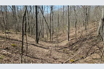 0 Spruce Hollow Road, Madison Township, OH 45653 - Photo 29