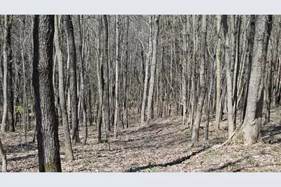 0 Spruce Hollow Road, Madison Township, OH 45653 - Photo 39