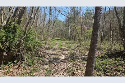 0 Spruce Hollow Road, Madison Township, OH 45653 - Photo 9