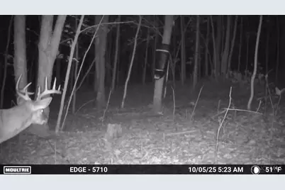 0 Spruce Hollow Road, Madison Township, OH 45653 - Photo 43