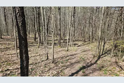 0 Spruce Hollow Road, Madison Township, OH 45653 - Photo 15