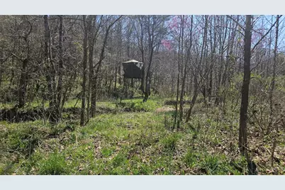 0 Spruce Hollow Road, Madison Township, OH 45653 - Photo 51