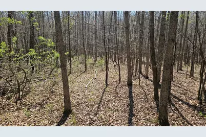 0 Spruce Hollow Road, Madison Township, OH 45653 - Photo 19