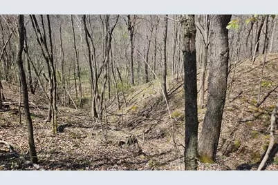 0 Spruce Hollow Road, Madison Township, OH 45653 - Photo 47