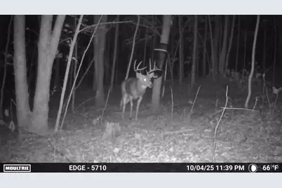 0 Spruce Hollow Road, Madison Township, OH 45653 - Photo 29