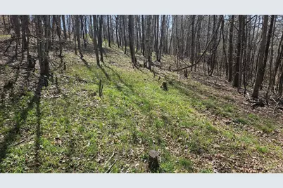 0 Spruce Hollow Road, Madison Township, OH 45653 - Photo 39