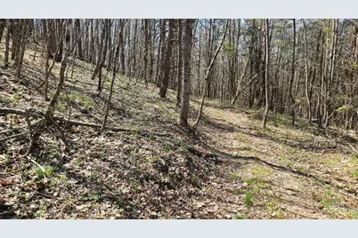 0 Spruce Hollow Road, Madison Township, OH 45653 - Photo 17