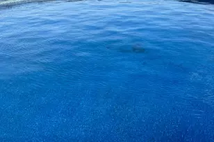 4685 Farmers Rd, Clark Township, OH 45146 - Photo 15