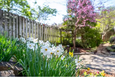 2750 Lower Grandin, Cincinnati, OH 45208 - Photo 43