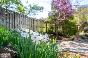 2750 Lower Grandin, Cincinnati, OH 45208 - Photo 43