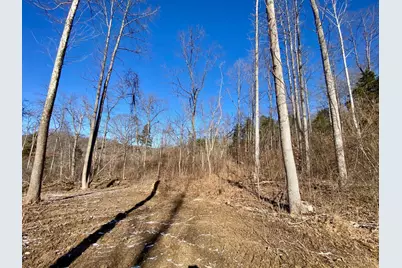 60 US Rt 52, Manchester, OH 45144 - Photo 9