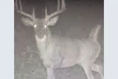 60 US Rt 52, Manchester, OH 45144 - Photo 11