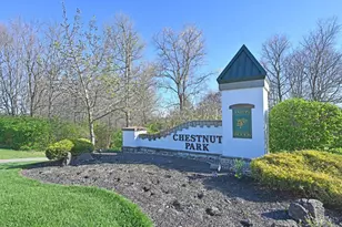 3665 Chestnut Park Ln, Cleves, OH 45002 - Photo 43