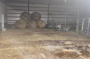 895 Hale Rd, Adams Township, OH 45177 - Photo 7