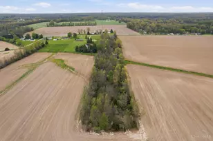 3055 St Rt 131, Wayne Township, OH 45103 - Photo 35