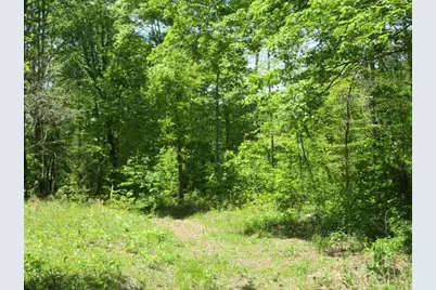 1505 Newland Ridge Road, Peeble Twp, OH 45690 - Photo 31