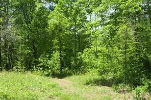 1505 Newland Ridge Rd, Peeble Twp, OH 45690 - Photo 31