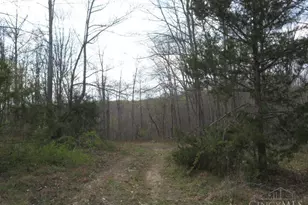 1505 Newland Ridge Rd, Peeble Twp, OH 45690 - Photo 29