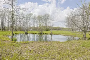 5176 Greenbush East Rd, Green Twp, OH 45154 - Photo 39