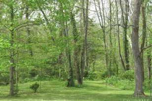 6946 Mountain View Dr, Hillsboro, OH 45133 - Photo 39