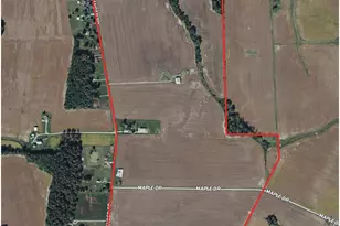 11732 Martin-Alexander Rd, Eagle Township, OH 45171 - Photo 75