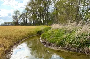 11732 Martin-Alexander Rd, Eagle Township, OH 45171 - Photo 83