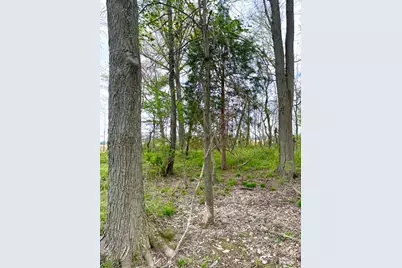 11732 Martin Alexander Road, Eagle Township, OH 45171 - Photo 89