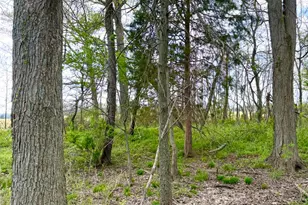 11732 Martin-Alexander Rd, Eagle Township, OH 45171 - Photo 89