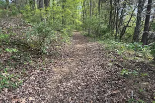 1000 Locust Rd, Jackson Twp, OH 45133 - Photo 27