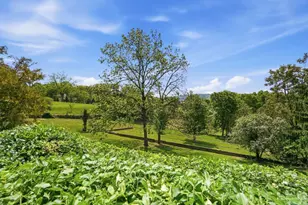 4 Grandin Ln, Cincinnati, OH 45208 - Photo 87