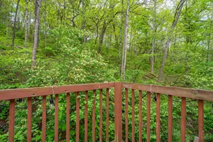 10584 New Biddinger Rd, Harrison Township, OH 45030 - Photo 47